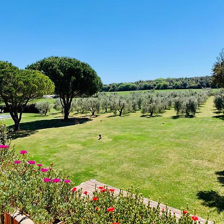 Il Borghetto Di Ansedonia Daire Dış mekan fotoğraf