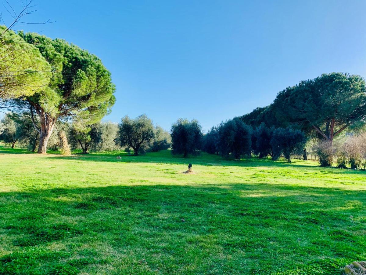Il Borghetto Di Ansedonia Daire Dış mekan fotoğraf