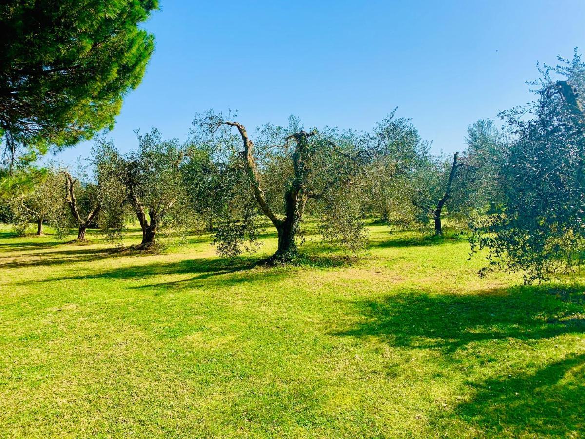 Il Borghetto Di Ansedonia Daire Dış mekan fotoğraf