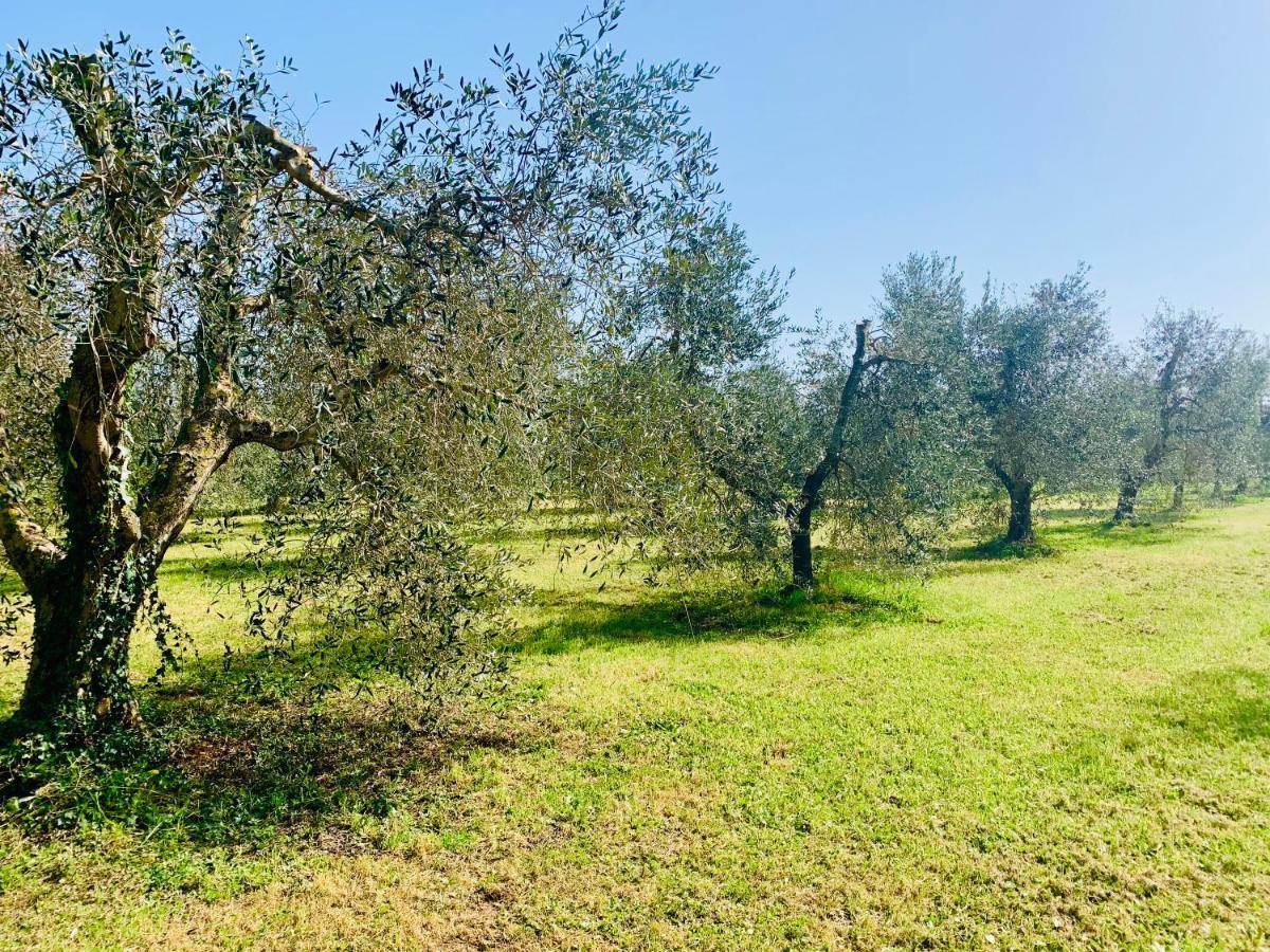 Il Borghetto Di Ansedonia Daire Dış mekan fotoğraf