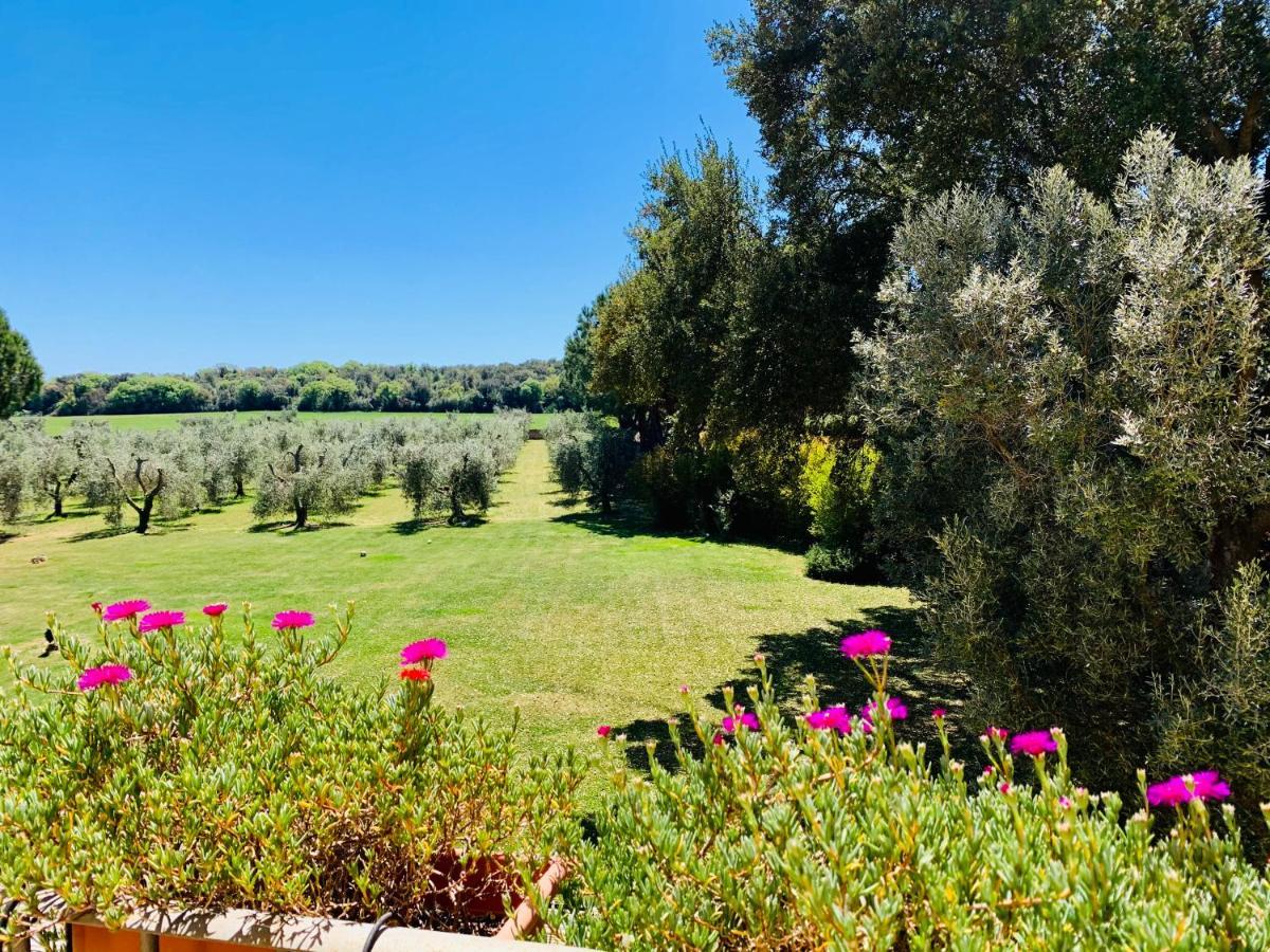 Il Borghetto Di Ansedonia Daire Dış mekan fotoğraf