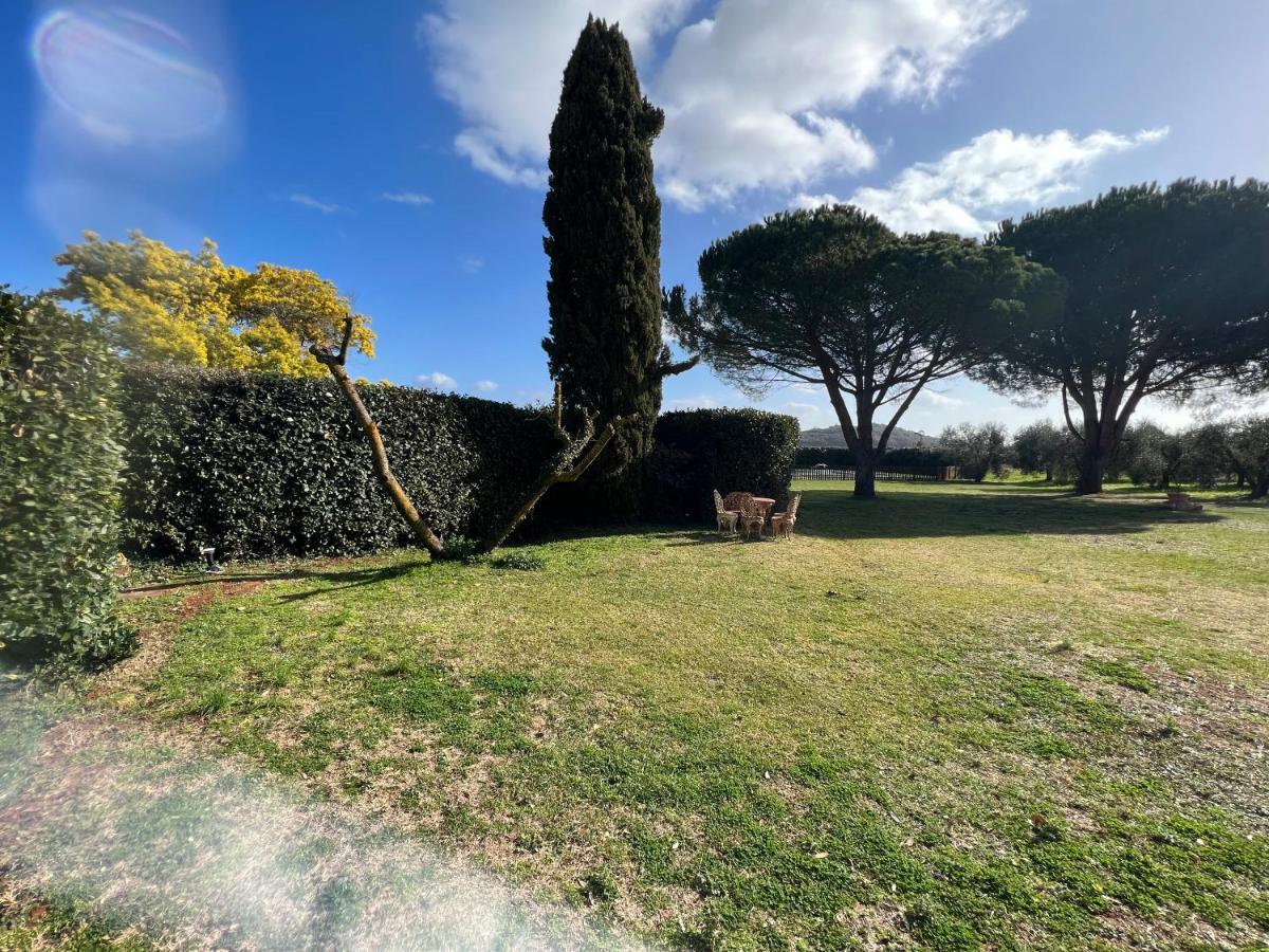 Il Borghetto Di Ansedonia Daire Dış mekan fotoğraf
