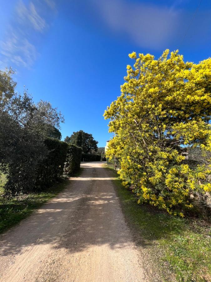 Il Borghetto Di Ansedonia Daire Dış mekan fotoğraf