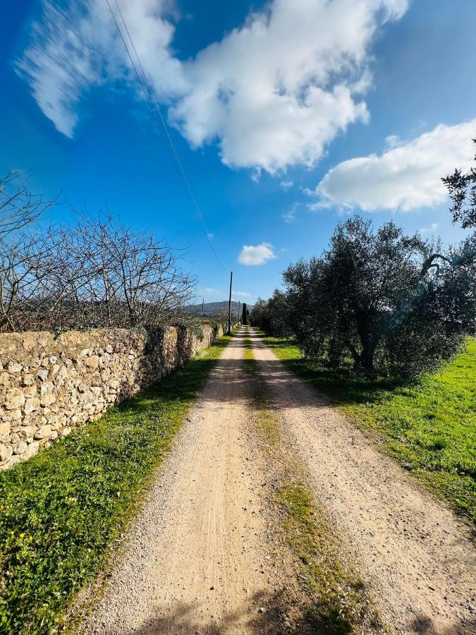 Il Borghetto Di Ansedonia Daire Dış mekan fotoğraf