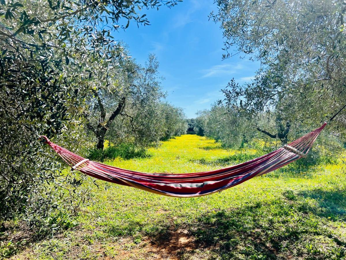 Il Borghetto Di Ansedonia Daire Dış mekan fotoğraf